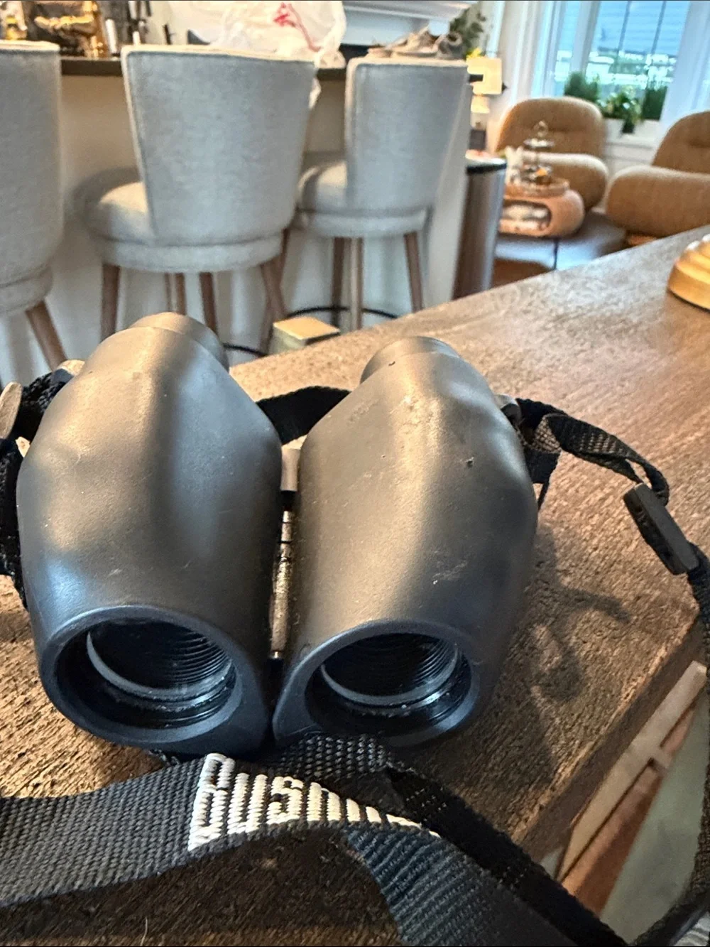 Bushnell Black 10x25 Compact Binoculars - Lightweight Optical Performance